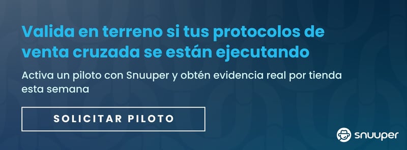 SNU - CTA Lead Magnets (2)